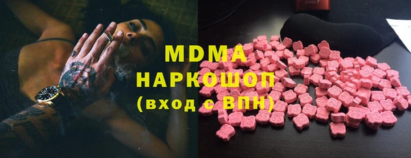 шишки Надым
