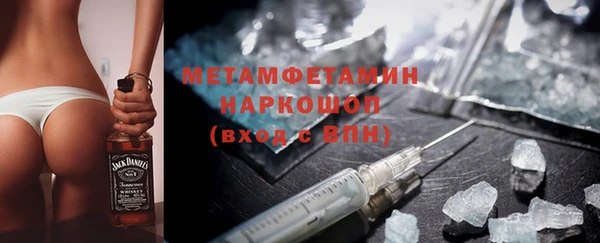 шишки Надым