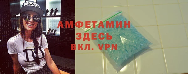 шишки Надым