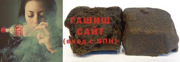 шишки Надым
