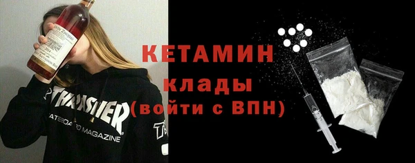шишки Надым