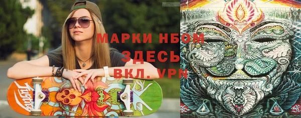 шишки Надым