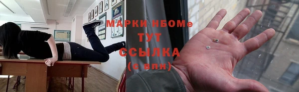 прущие грибы Нея