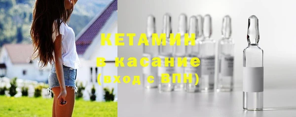 шишки Надым