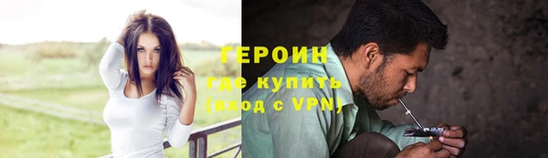 шишки Надым