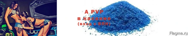шишки Надым