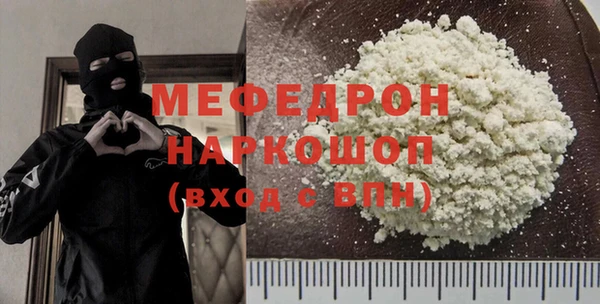 шишки Надым