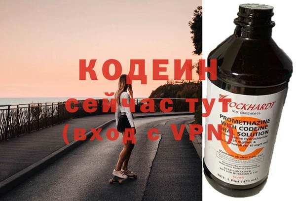 шишки Надым