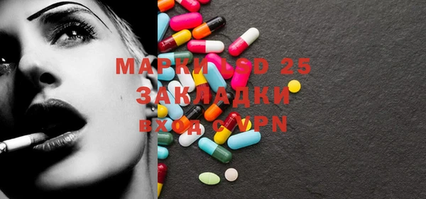 шишки Надым