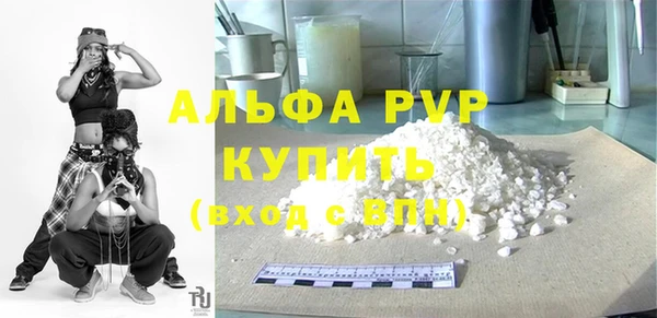 шишки Надым