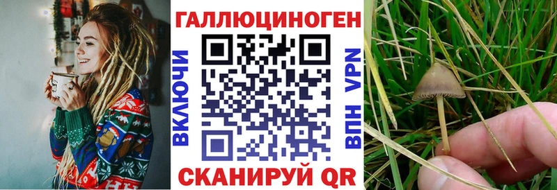 Псилоцибиновые грибы мицелий Подпорожье