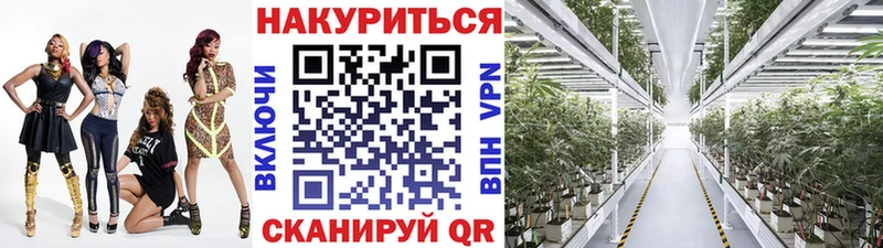 ссылка на мегу онион  Подпорожье  Бошки Шишки Amnesia 